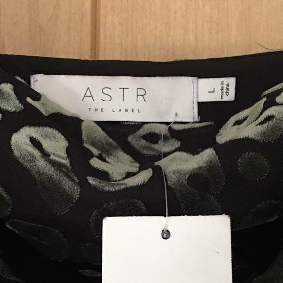 ASTR THE LABEL Velvet Leopard Slip Dress Y2K Size L - Picture 4 of 5